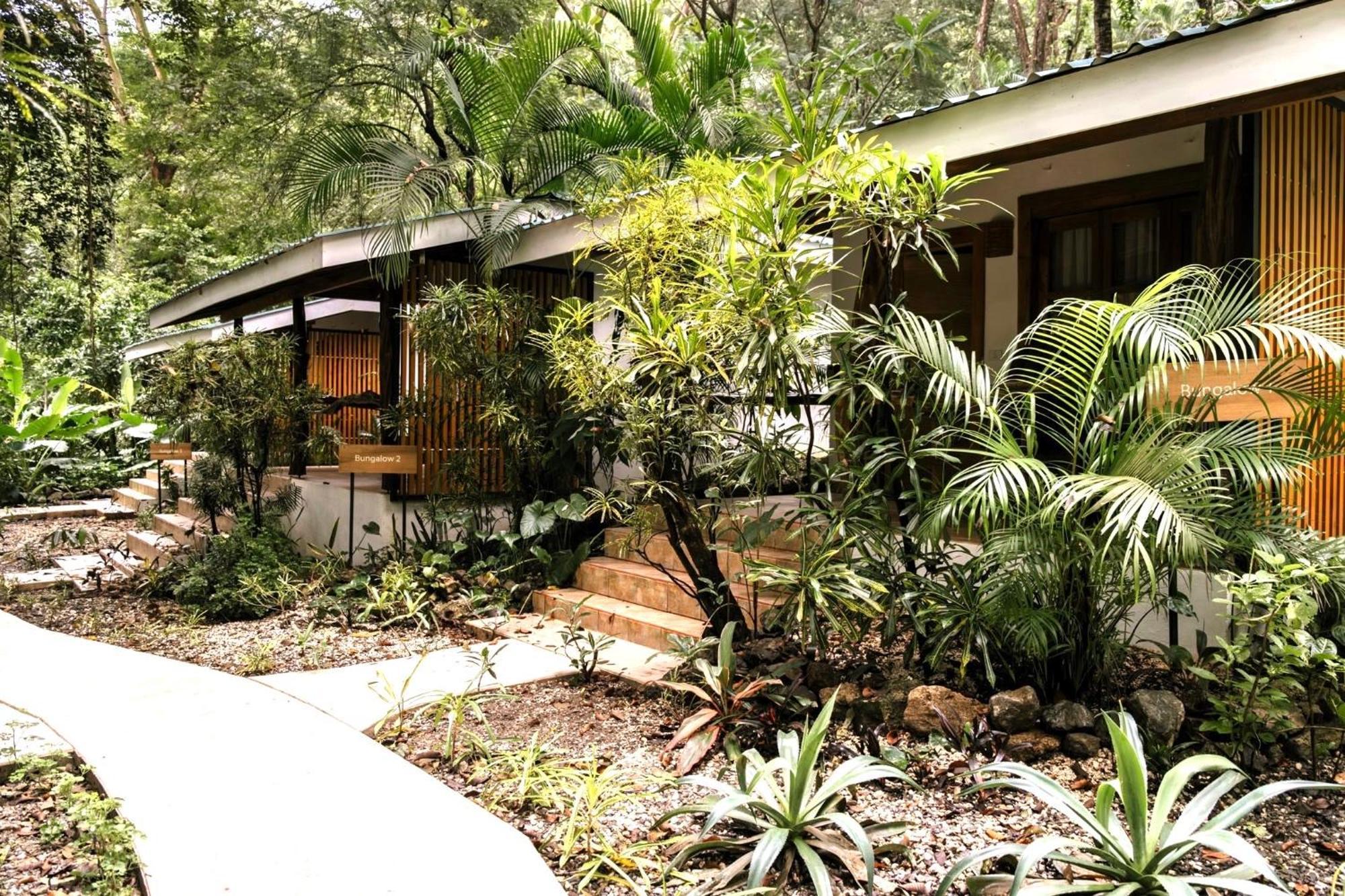 Makanas Beach Bungalows Playa Santa Teresa  Exterior photo