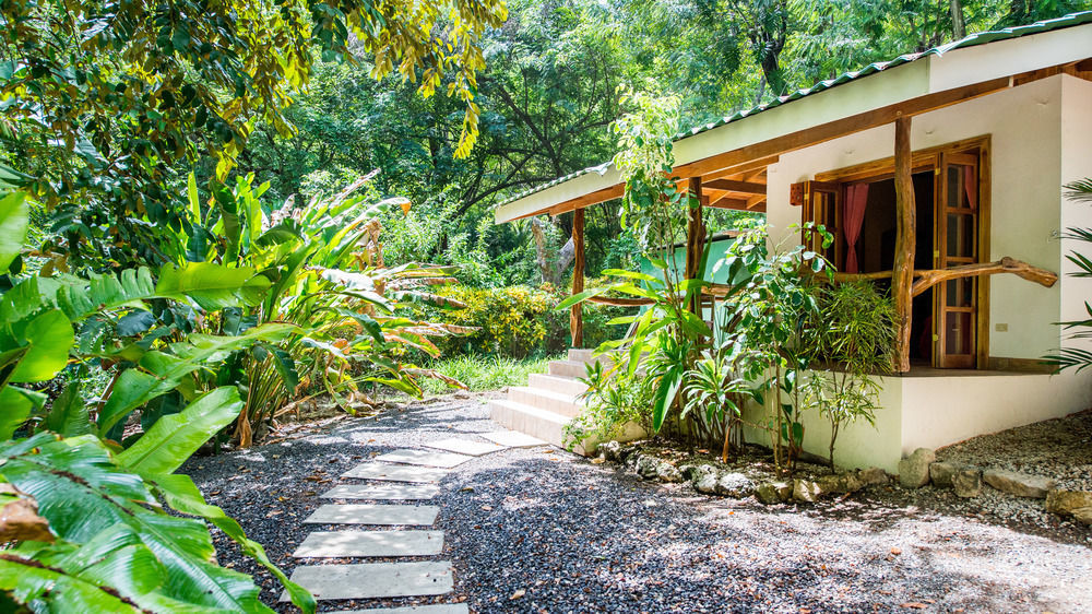 Makanas Beach Bungalows Playa Santa Teresa  Exterior photo